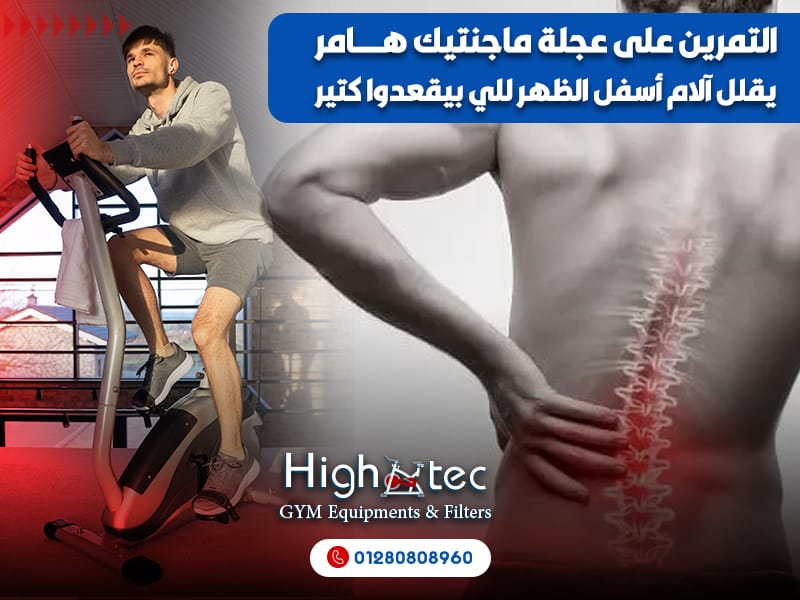 التمرين-على-عجلة-ماجنتيك-هامر-يقلل-آلام-أسفل-الظهر-للي-بيقعدوا-كتير