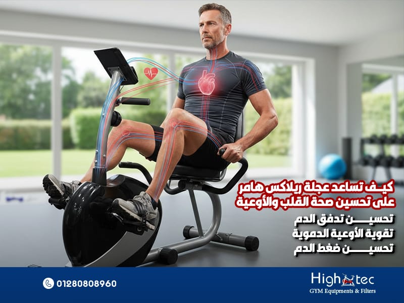 كيف-تساعد-عجلة-ريلاكس-هامر-على-تحسين-صحة-القلب-والأوعية